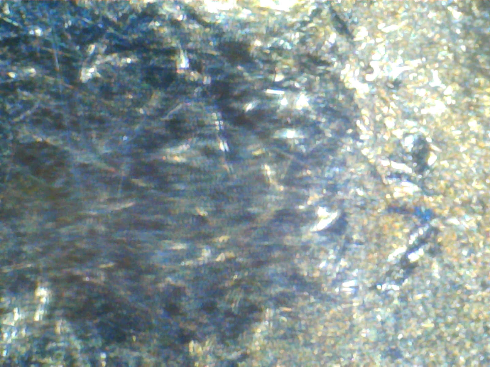 Cheek r1.jpg