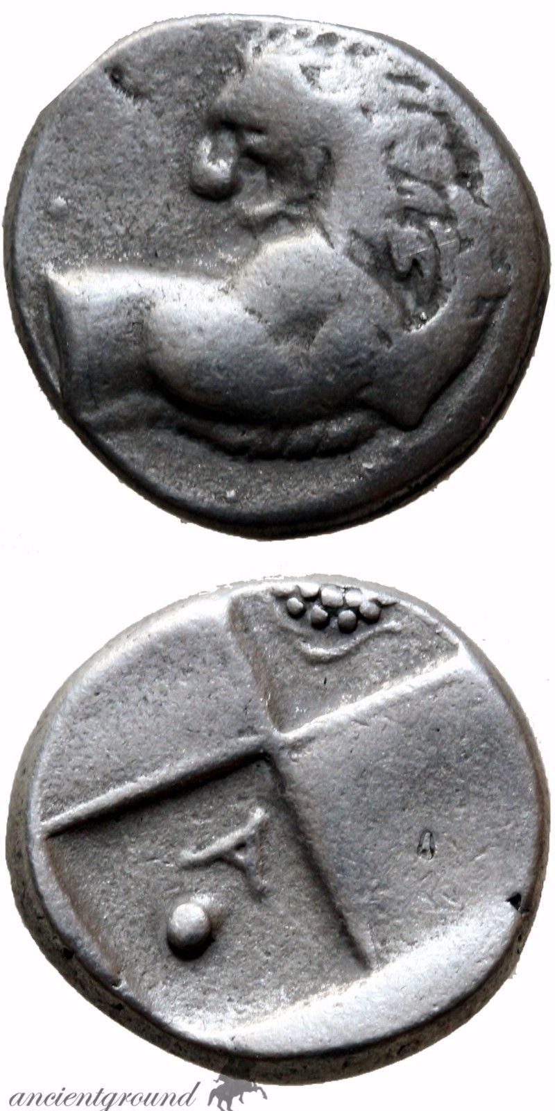 cherolionhemibought.jpg