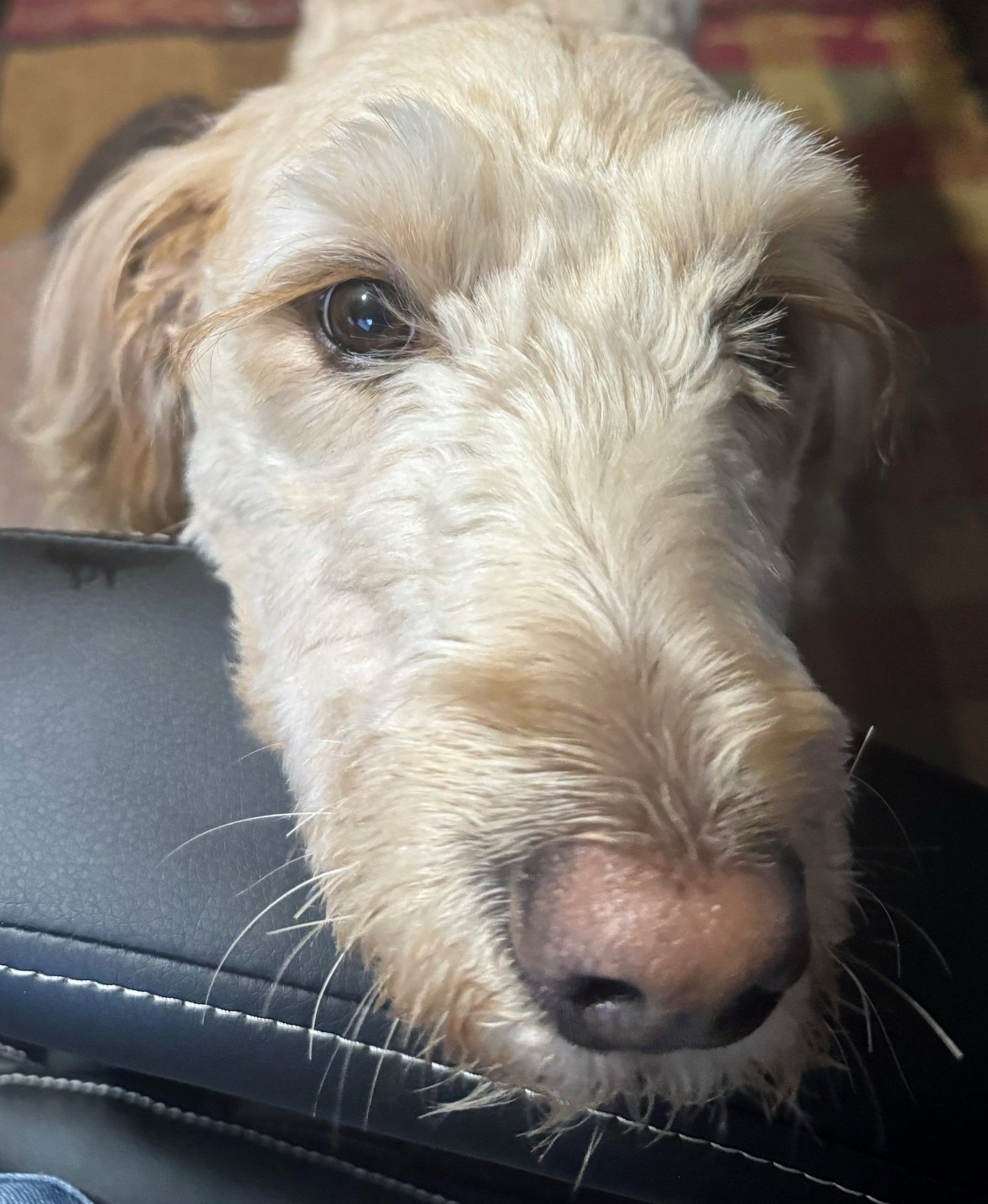 Chesney office chair good morning.jpg