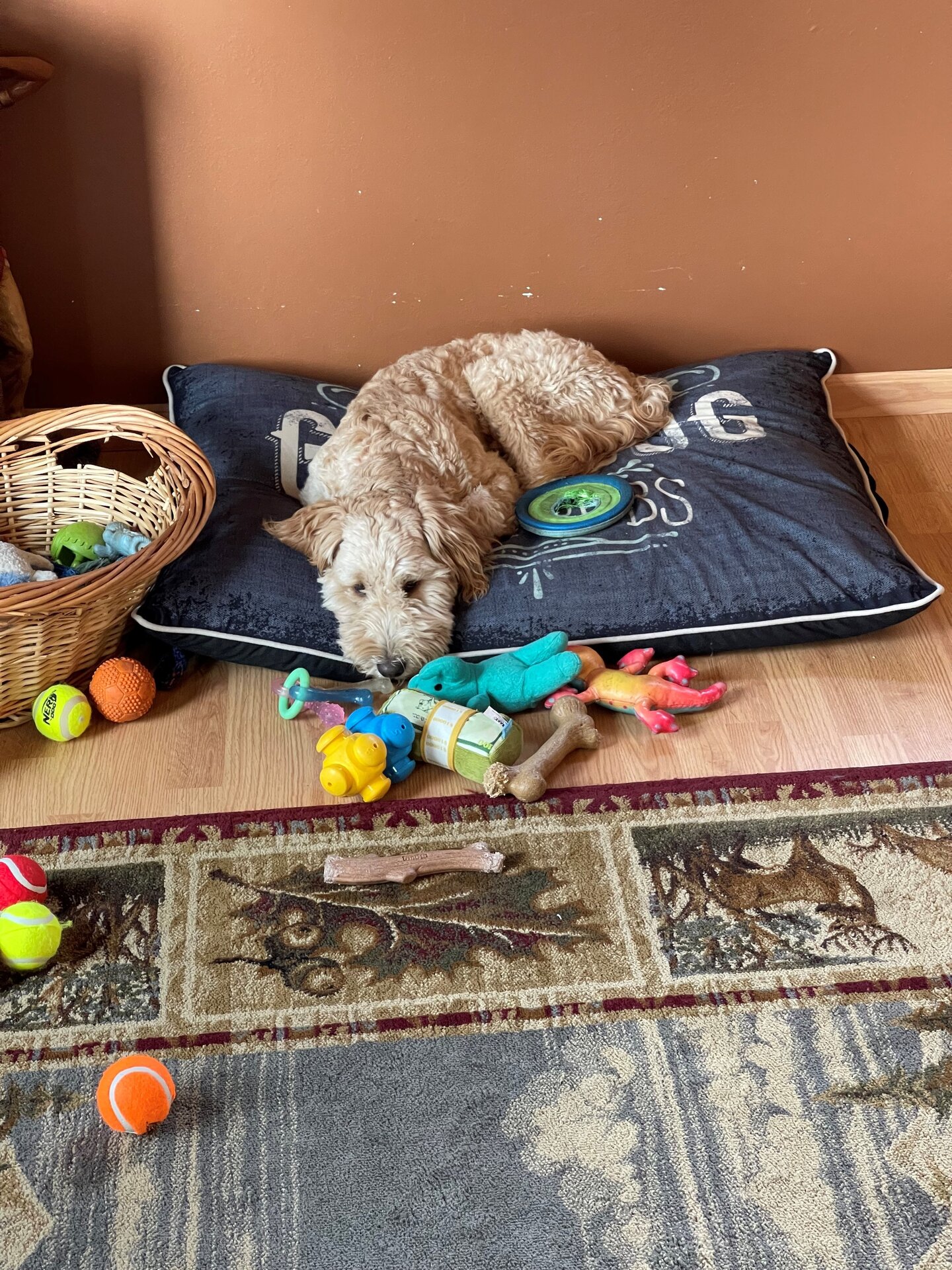 Chesney pillow.jpg