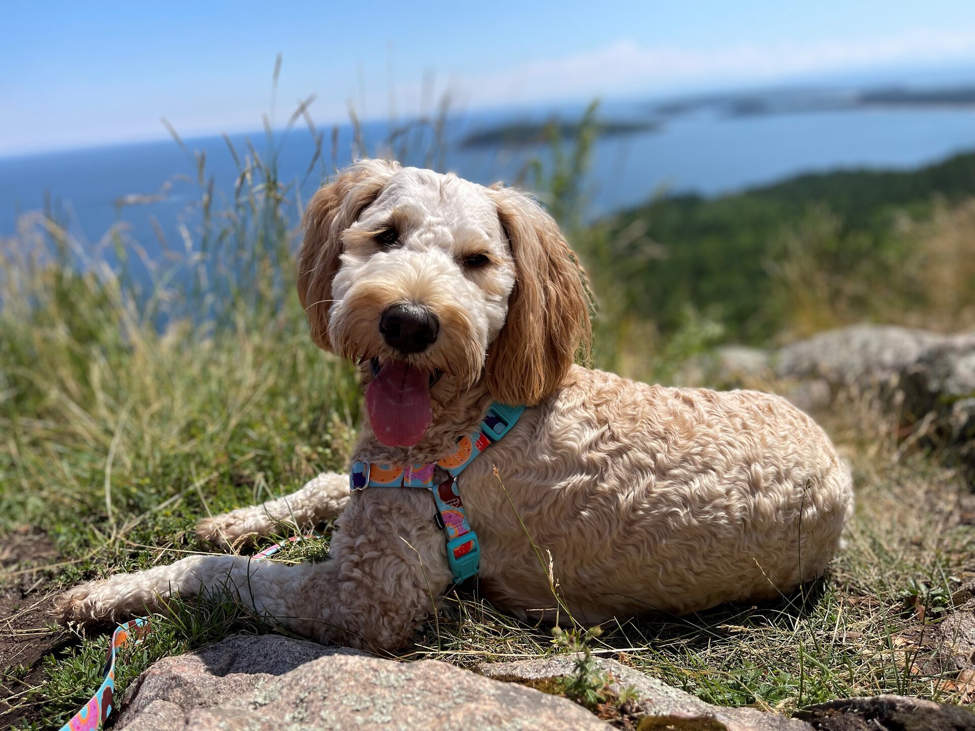 Chesney sugarloaf mountain.jpg