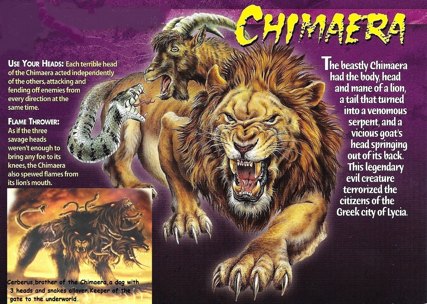 Chimaera_front2b.jpg