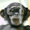 chimp_smoke.gif