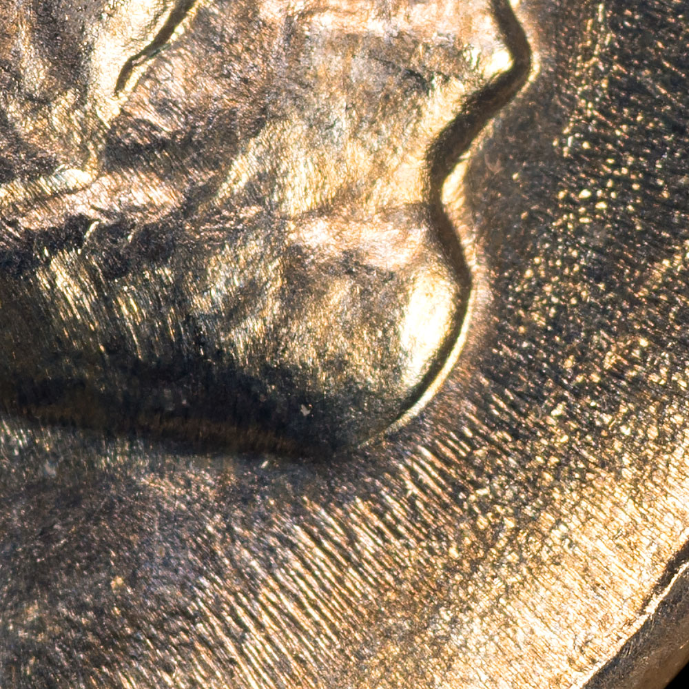 Chin-Detail.jpg