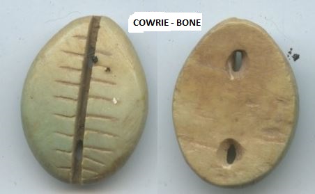 China ANCIENT Cowrie - BONE 2 holes for clothing or funeral bier 20mm Hartill 1-2v Coole 51-66.JPG