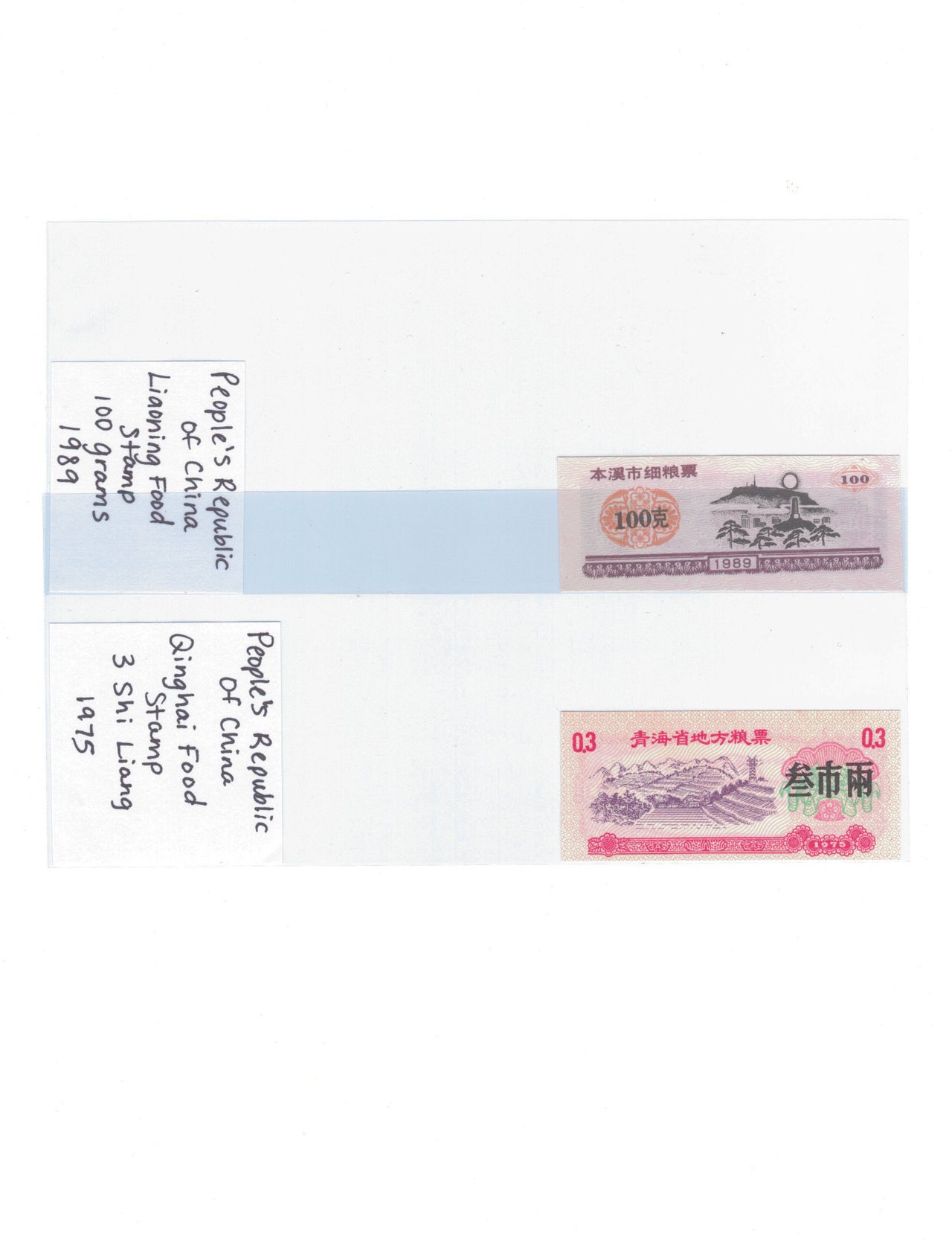 China food stamps 2.jpeg