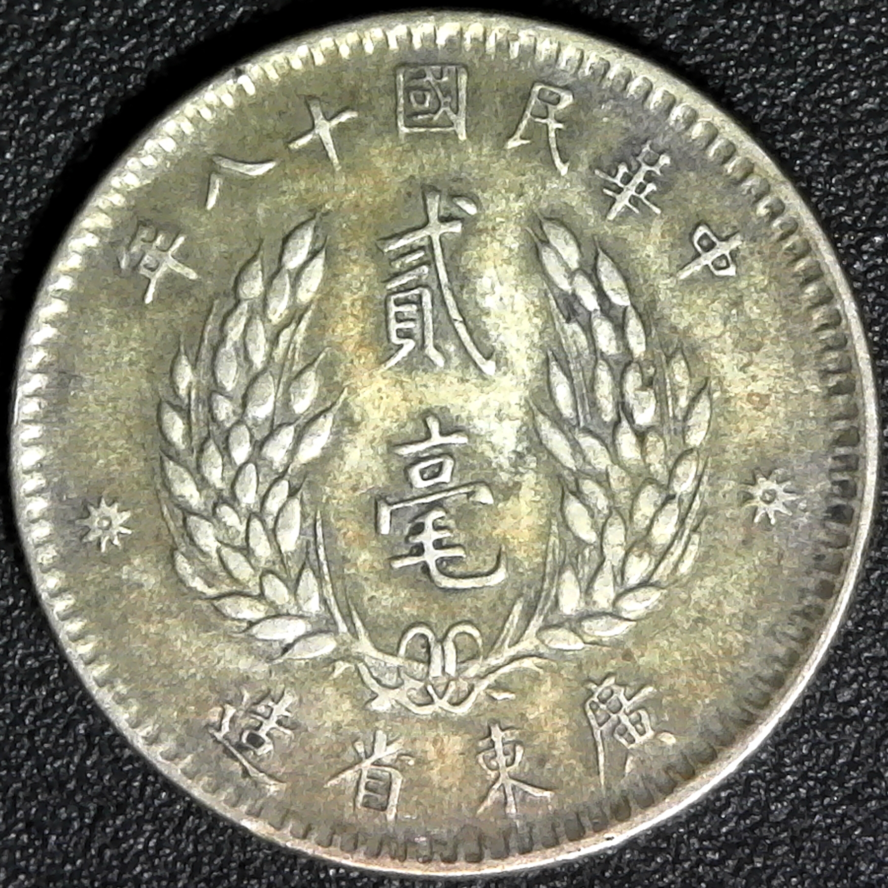 China Kwangtung 20 Cents 1929 rev.jpg
