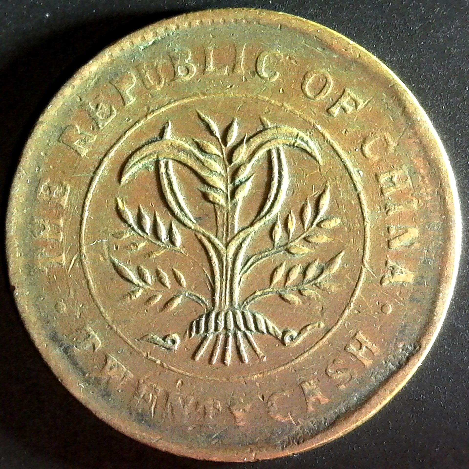 China Republic Hunan 20 cash 1919 Y400 2 reverse.jpg