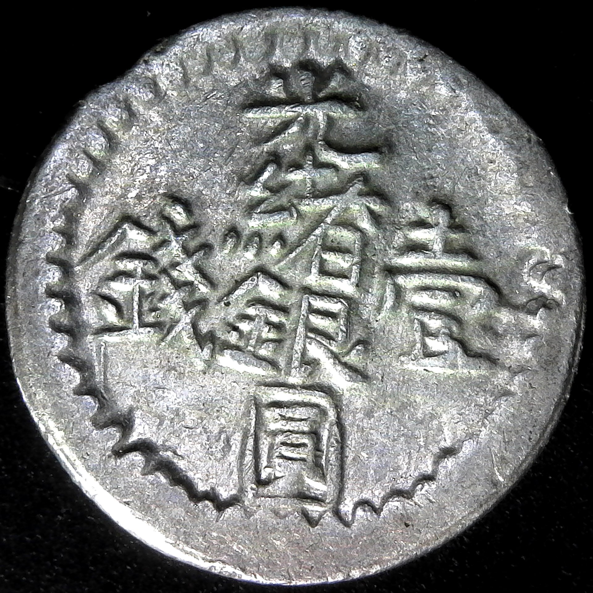 China Sinkiang Miscal Y16 obv B.jpg