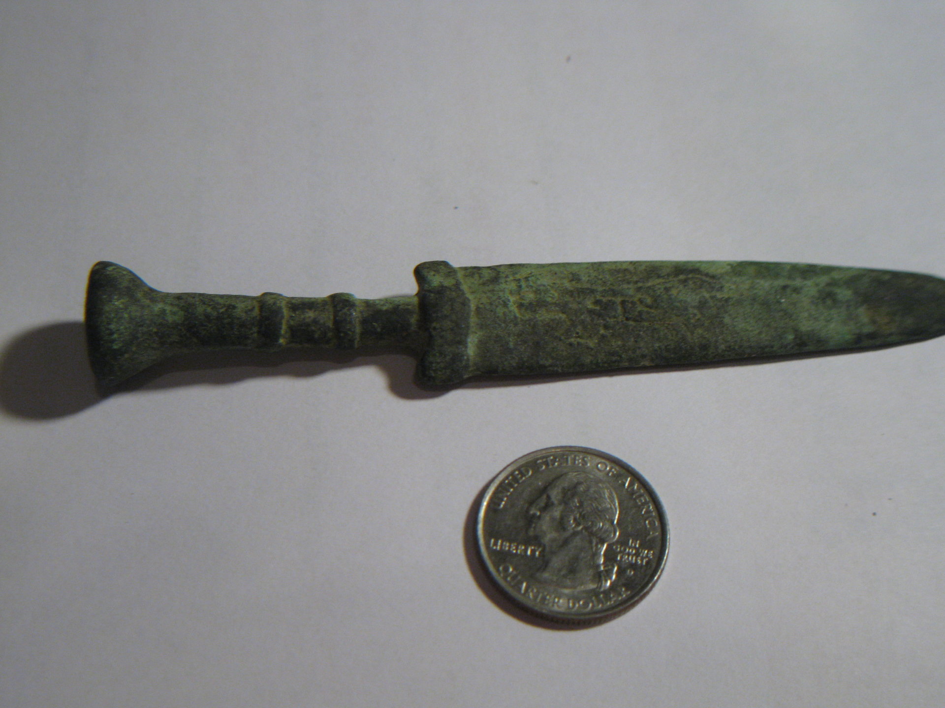 Chinese cripus fausta 001.JPG