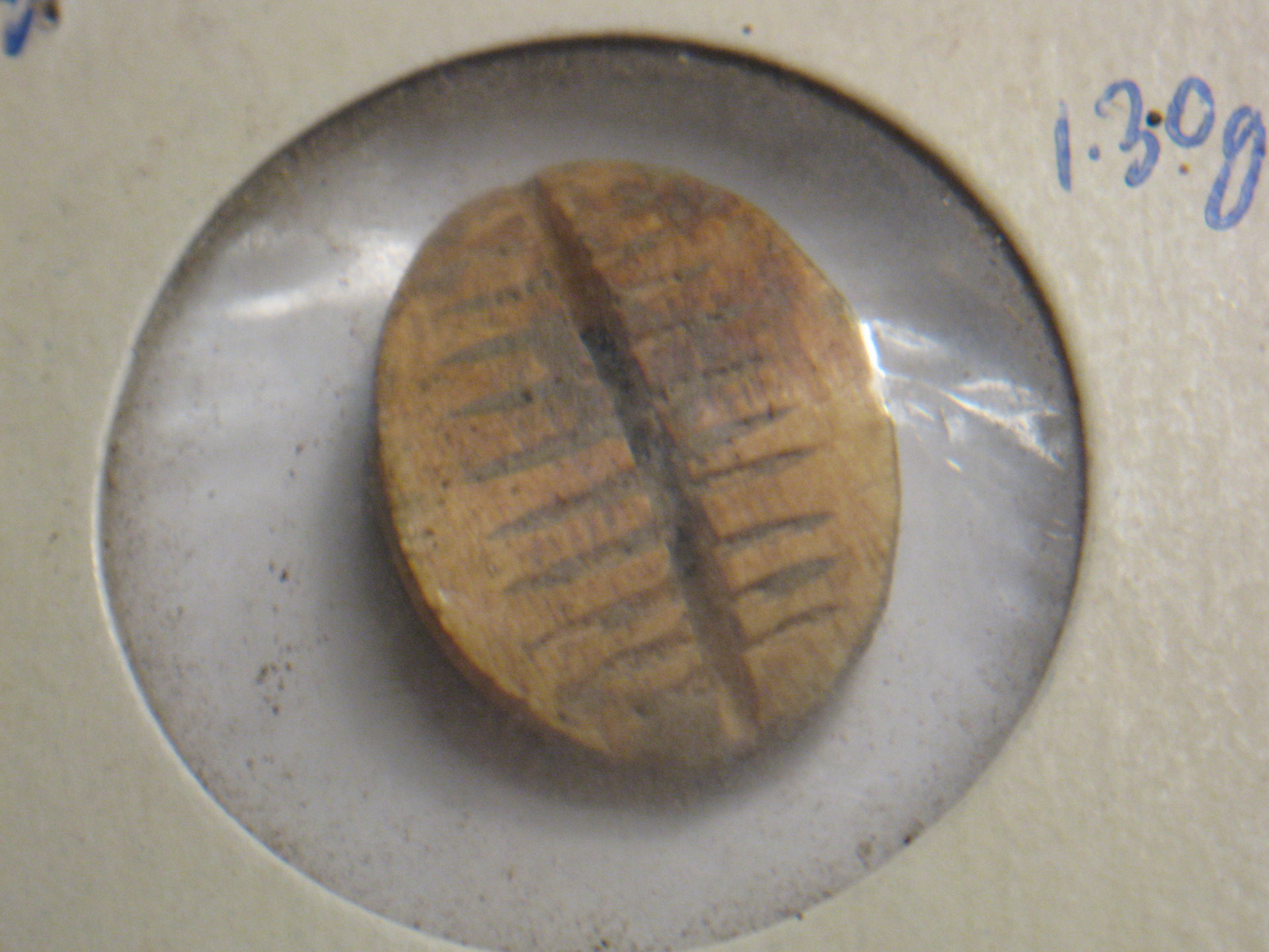 Chinese proto coins, oldest cash 001.JPG