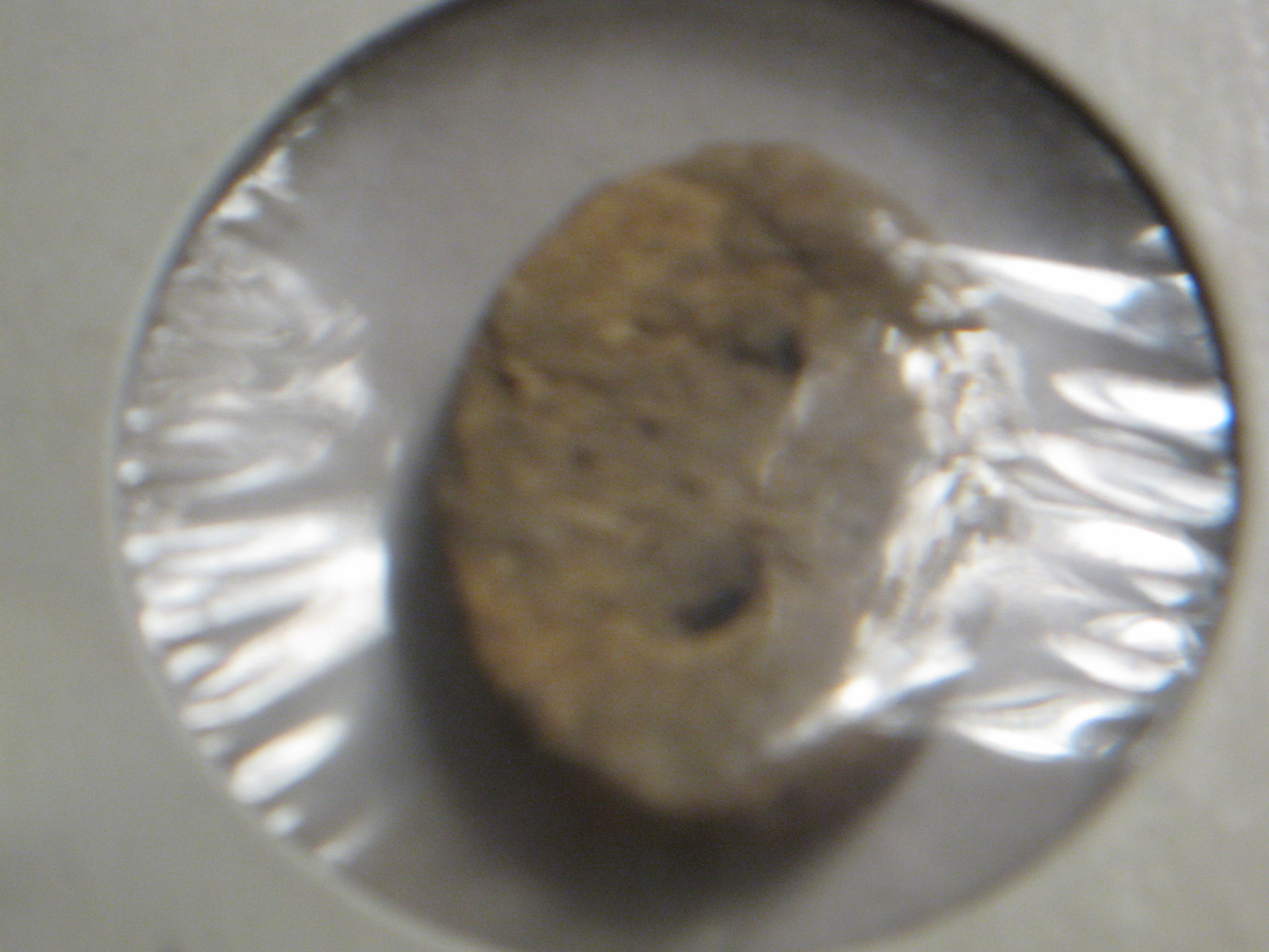 Chinese proto coins, oldest cash 002.JPG