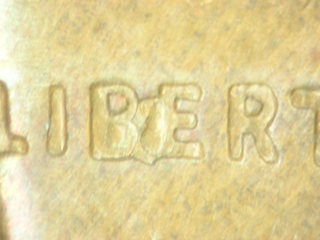 Chip BIE 1.JPG