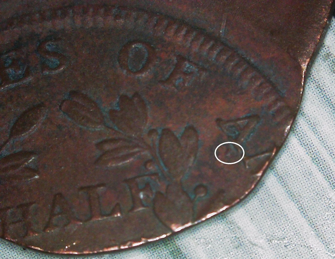 chip marked.jpg