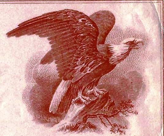 chk_NE_Jun1903_State ofNebraska-StantonCounty_vignette-eagle.jpg