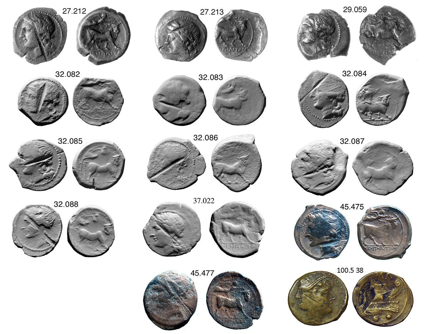 Chopped Neapolis Liri 300.jpg