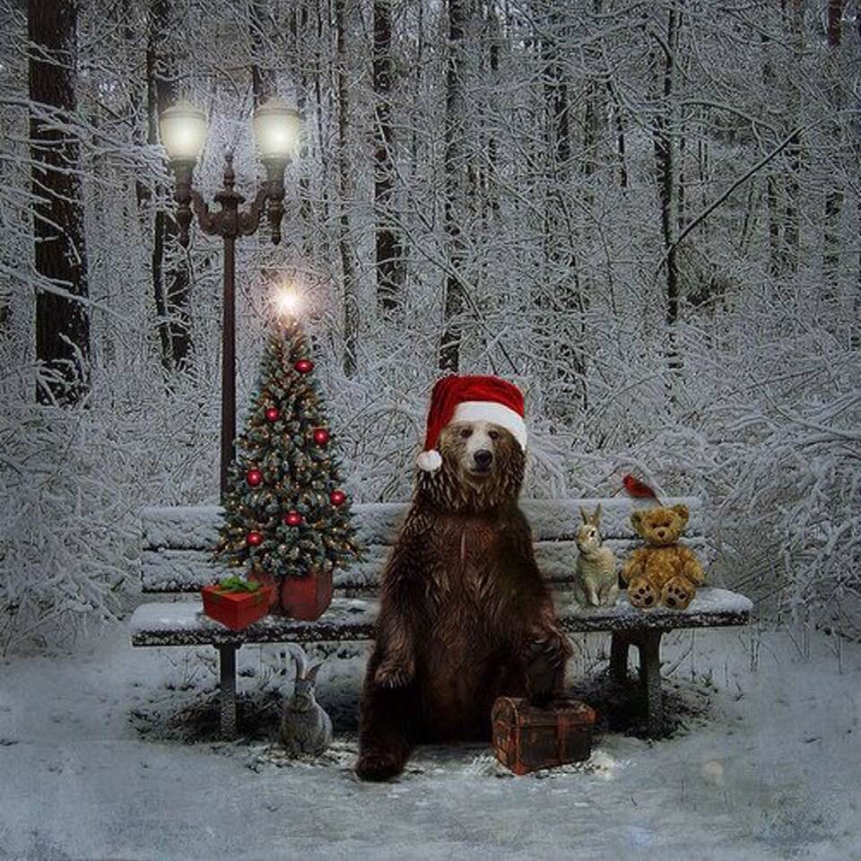 Christmas Bear in Woods.jpg