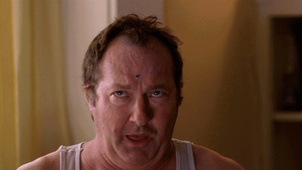 christmas-vacation2-eddie-fly-zap.gif