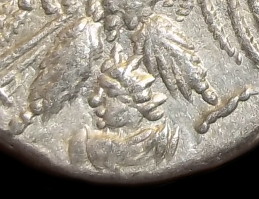 chrsmat eagle.jpg