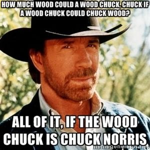 Chuck Norris Pwns - How much wood could a wood ch….jpeg