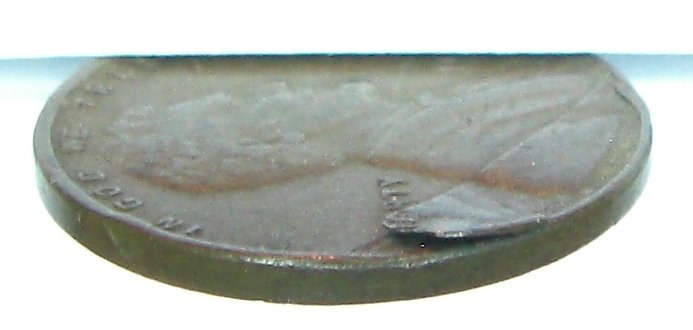 Cimg0086.jpg