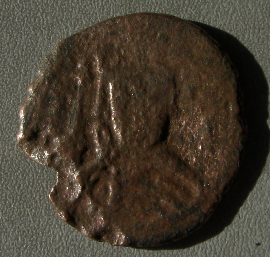 Cimg0154.jpg