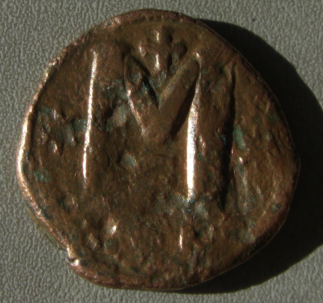 Cimg0155.jpg