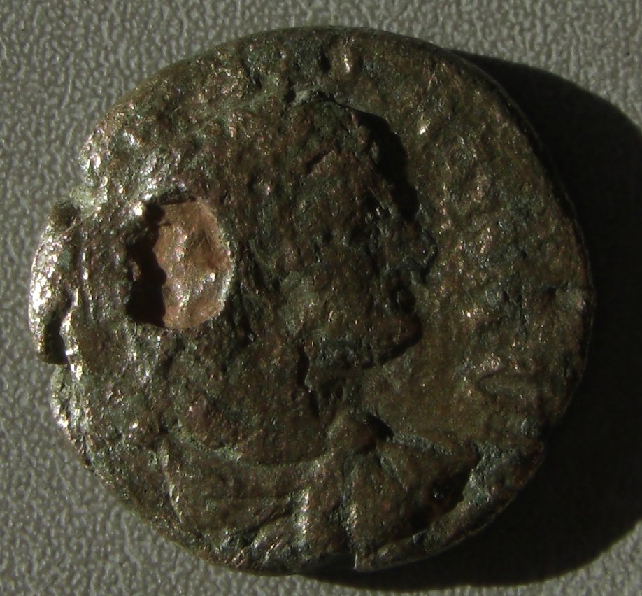 Cimg0159.jpg