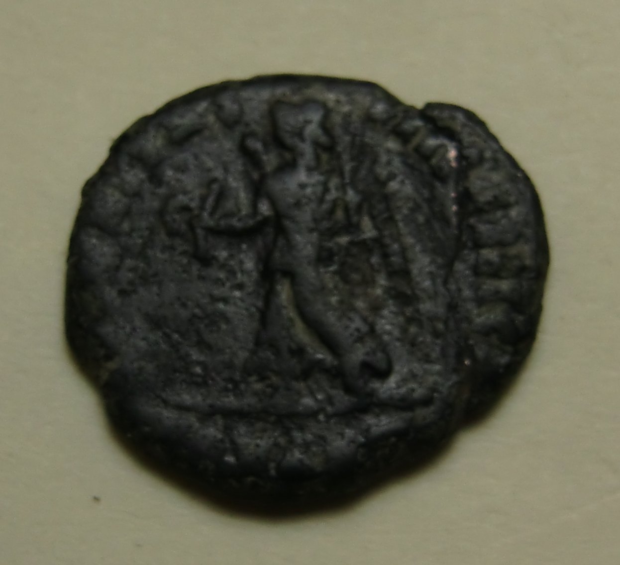 Cimg4411.jpg