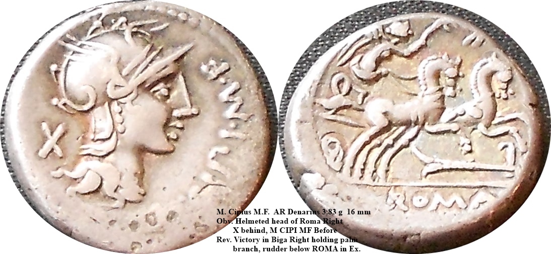 Cipius.jpg