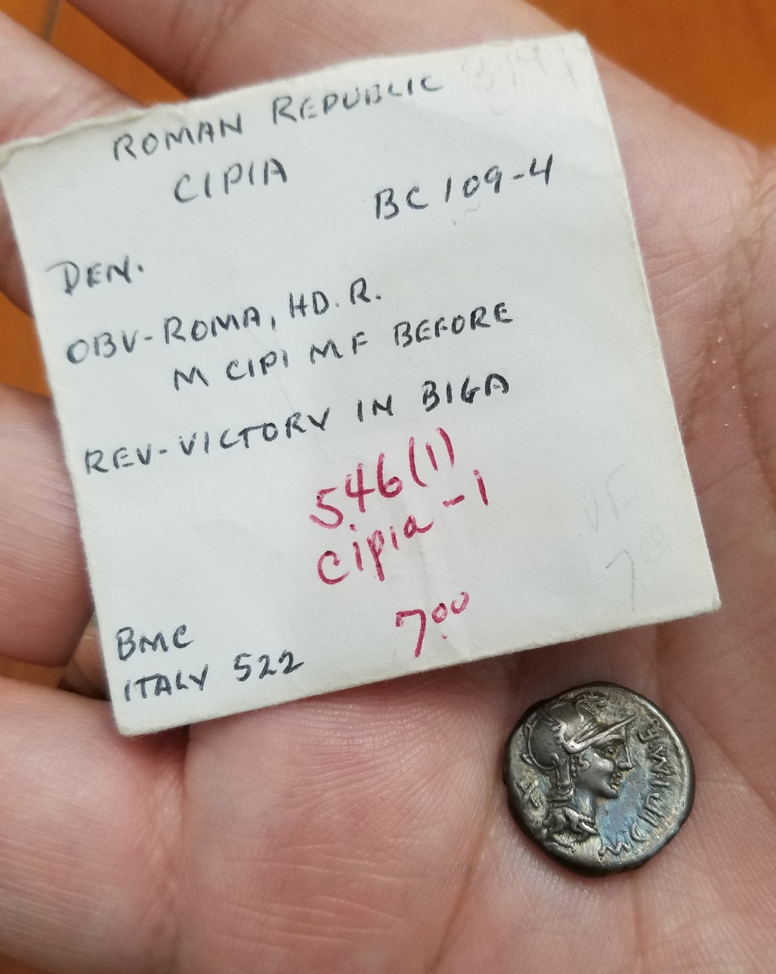 Cipius Obverse.jpg