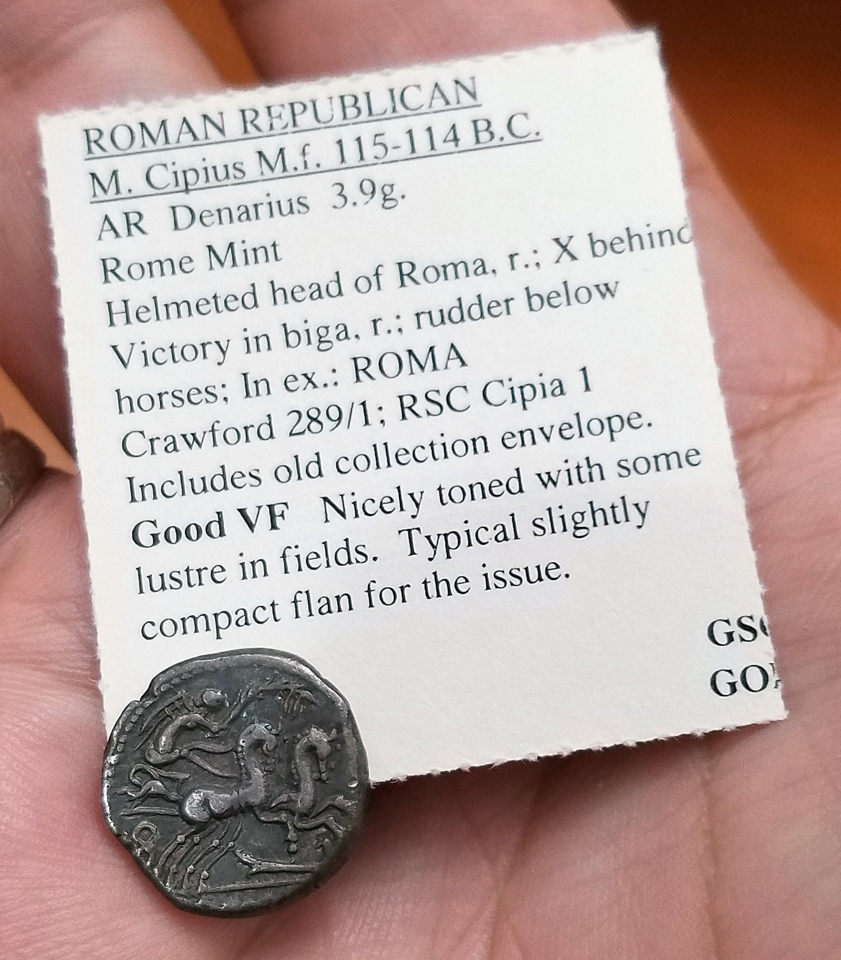 Cipius Reverse.jpg