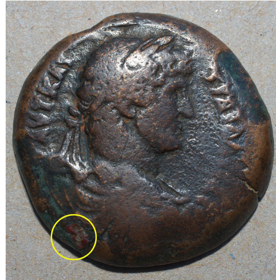 Circled area.jpg