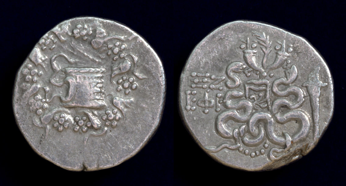 Cistophoric Lucullus EPE.jpg