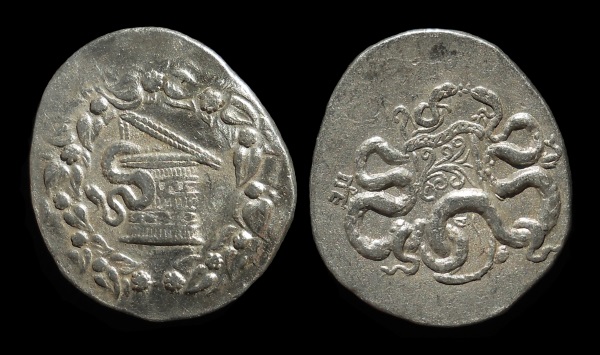 cistophoric Tet mysia pergamon.jpg