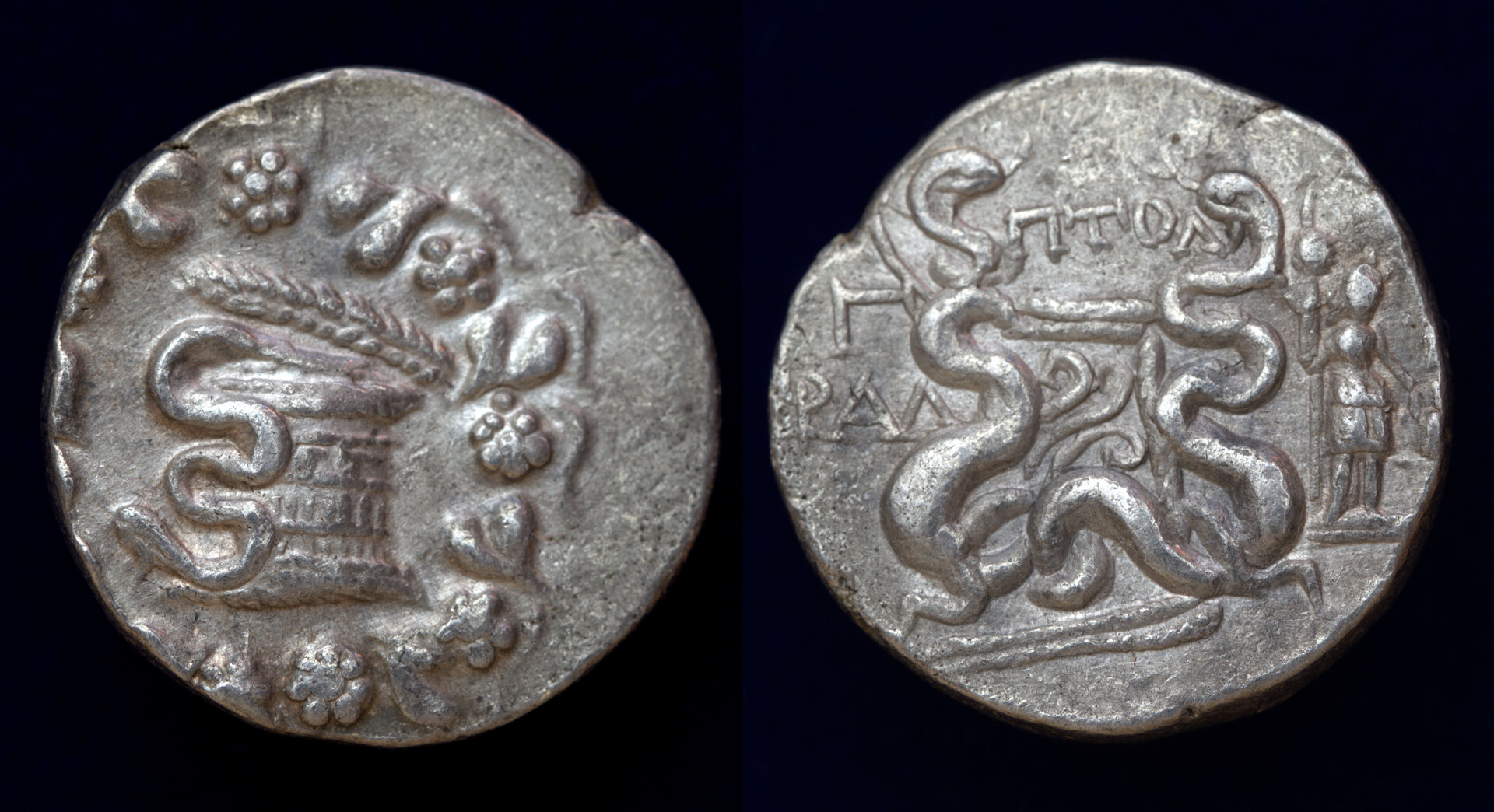 Cistophoric Tralleis Γ Tet.jpg