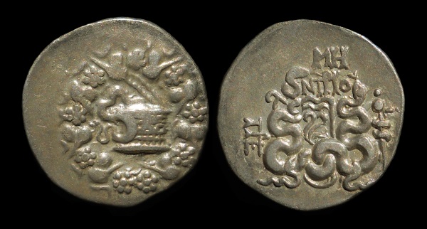 cistophorus 6 (1).jpg