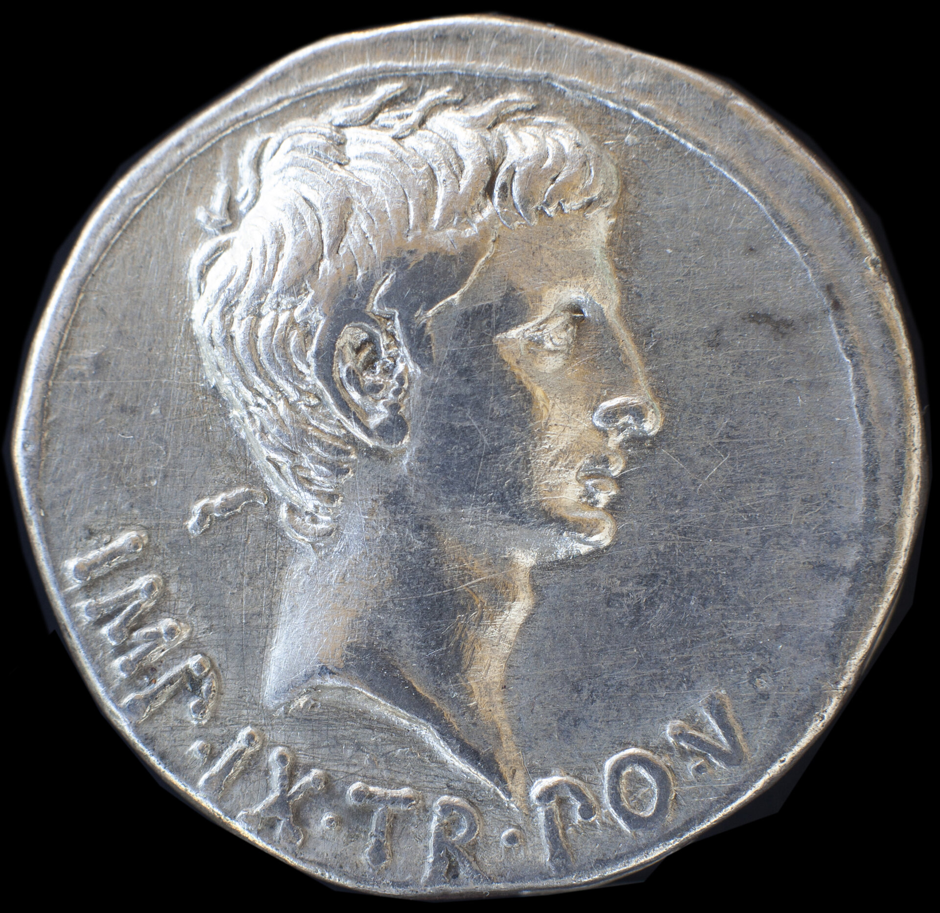 cistophorus augustus.JPG