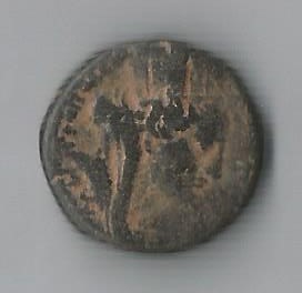 CiviHad O.jpg