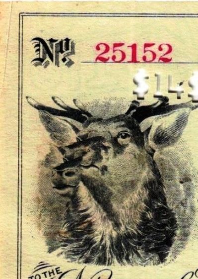 ckh_rdr_ME_May1900_vgnt_Thomaston_National_Bank_deer.jpg