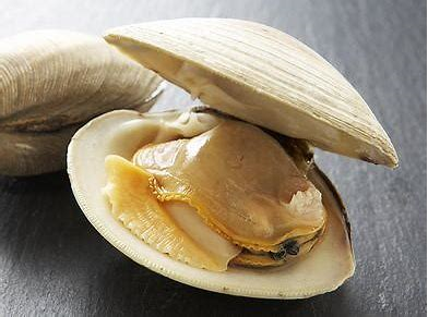 CLAM - CLOSE AM.png