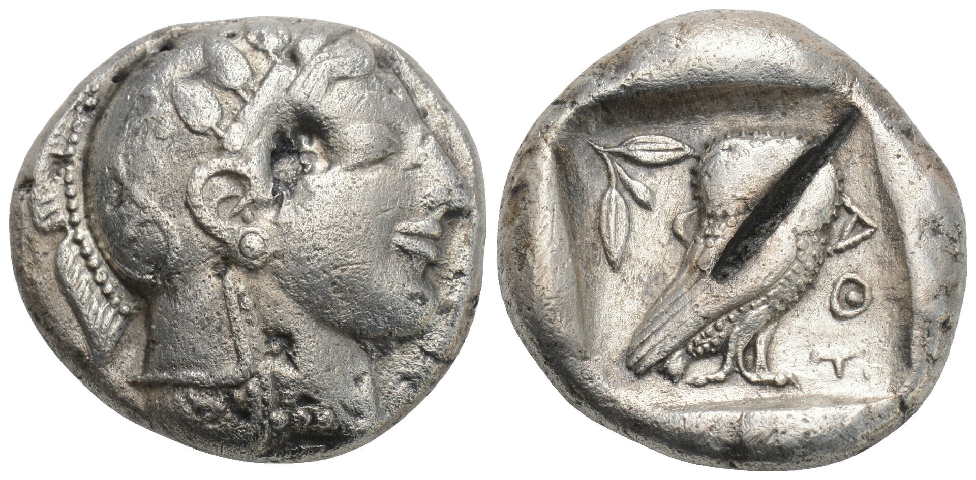 class II owl.jpg
