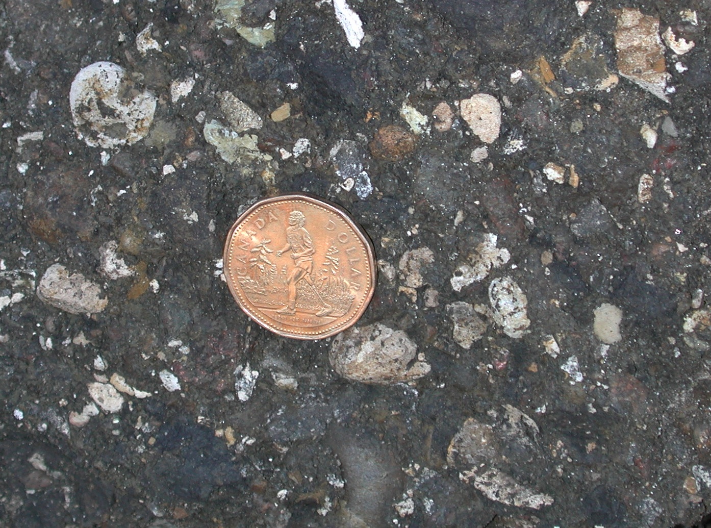 clast-rich.jpg