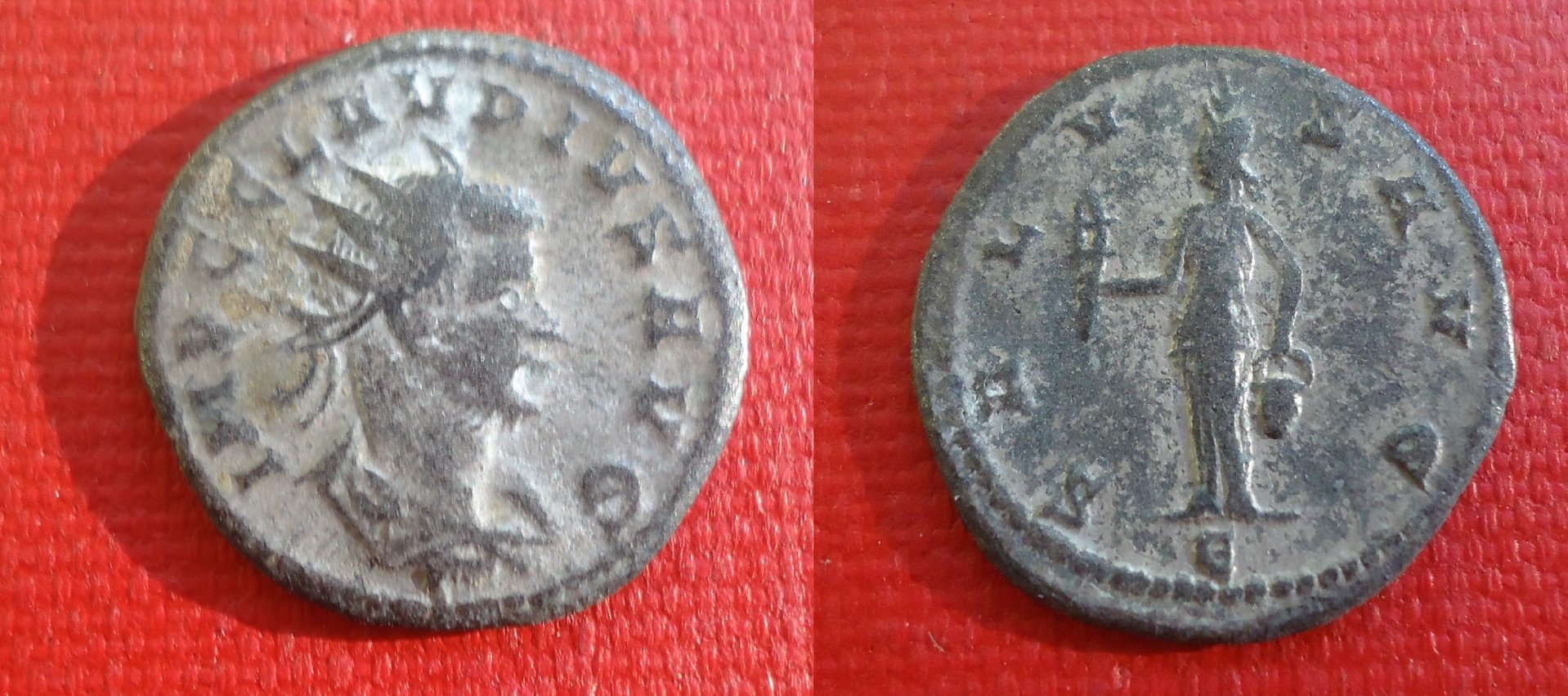 Claudisu II Isis SALVS silvery.JPG