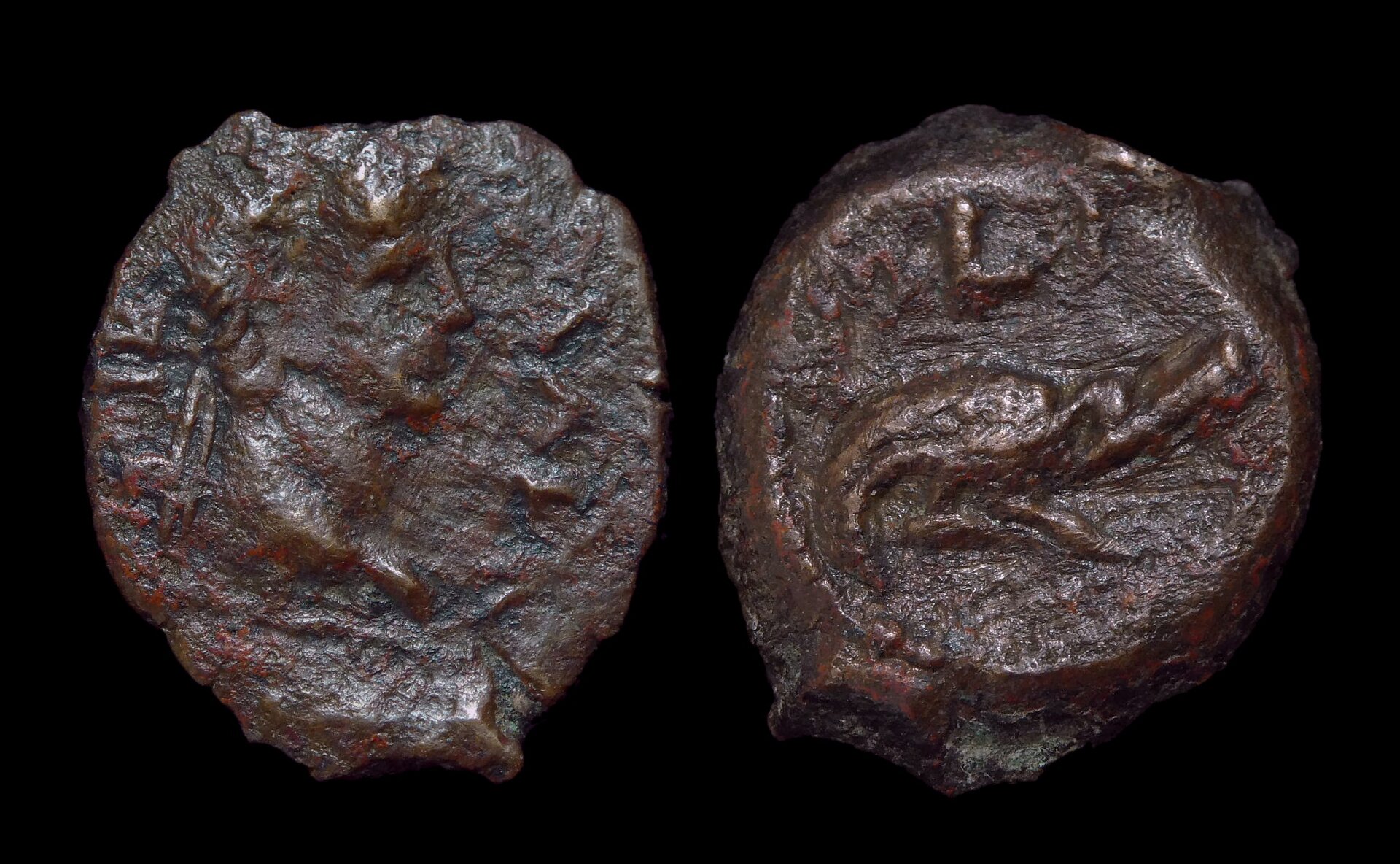 Claudius - Alexandria Dichalkon Crocodile 4314.JPG