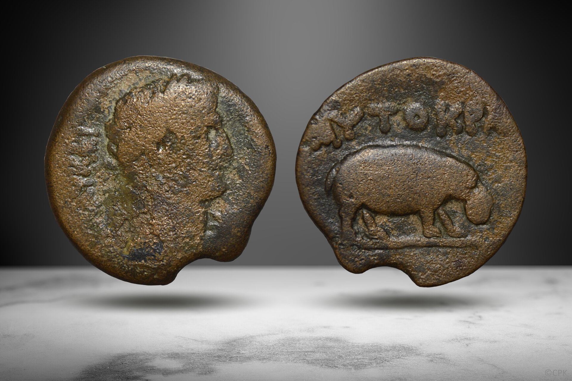 Claudius diobol Egypt Alexandria hippo.jpg