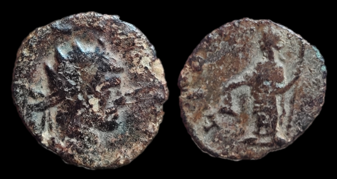 claudius ii divo liberal mule.png