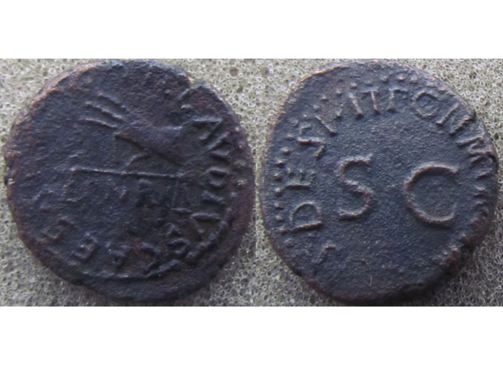 Claudius quadrans.jpg