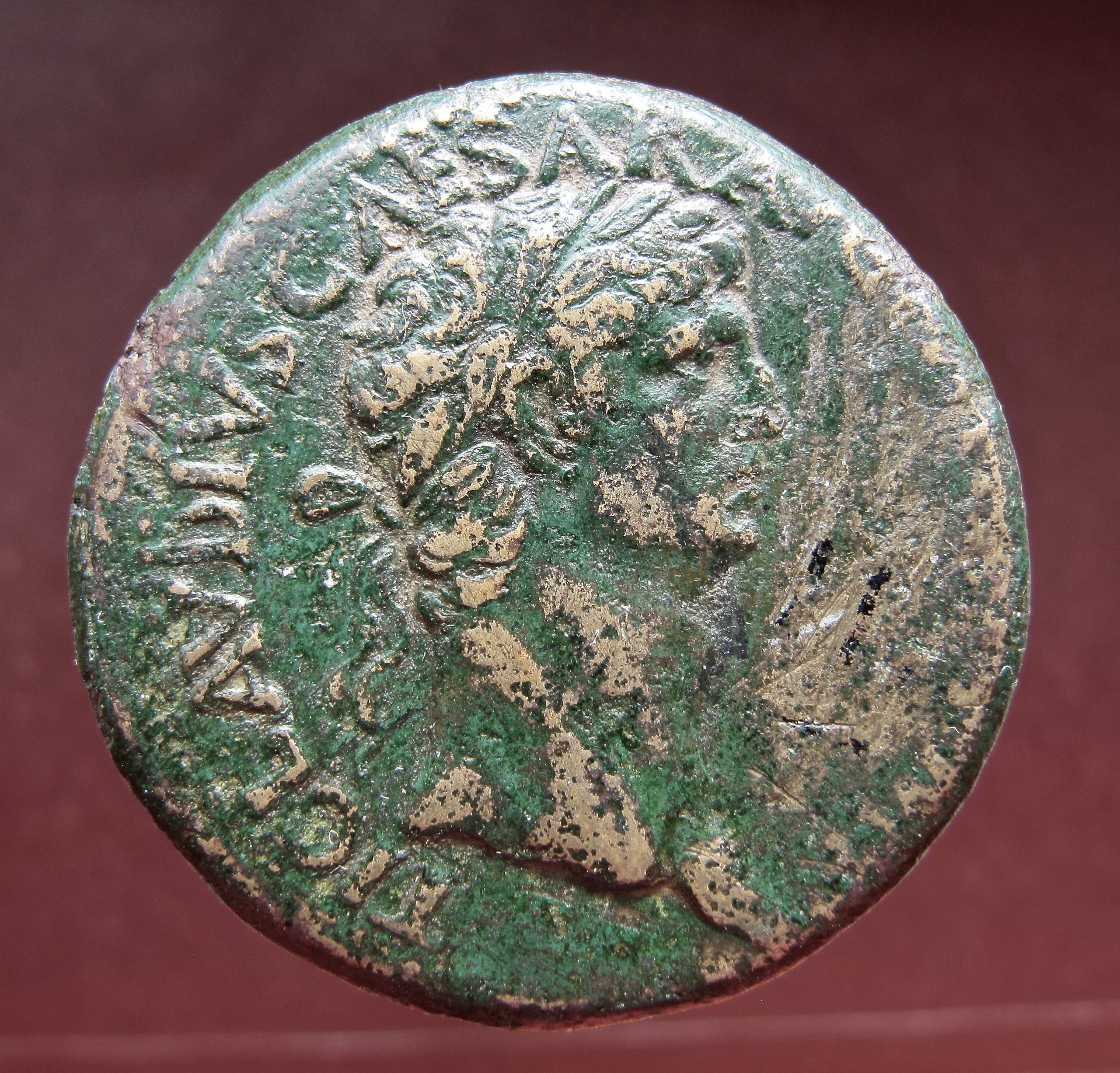 Claudius Sestertius wreath CIVES SERVATOS OBV1 N  - 1.jpg