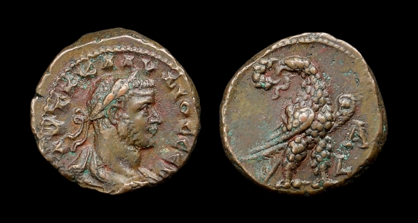 claudius_eagle_6.jpg